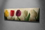 Wallity PC147 Lienzo Decorativo Multicolor 30 x 80 cm